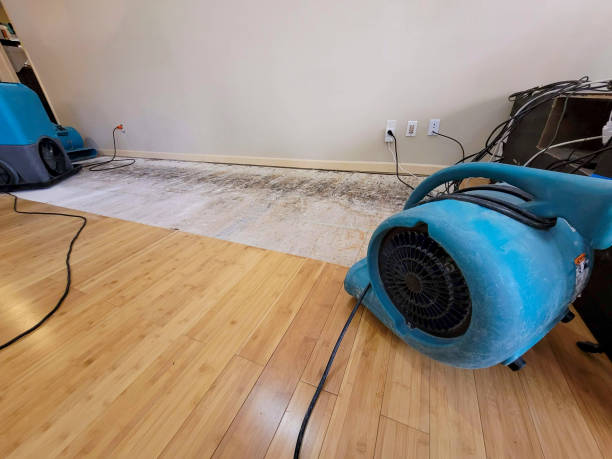 Professional Flood Damage Cleanup technician working in Arthurdale, WV